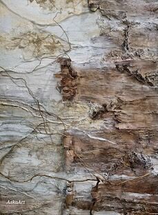 ASKA GOUGH –&nbsp;Woodland Spirit