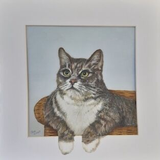 SUE HINTON – I'm watching you!