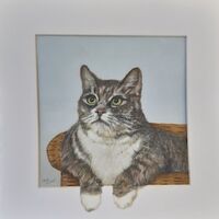 SUE HINTON – I'm watching you!