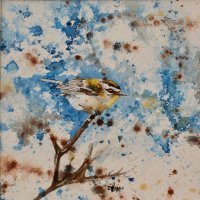 Hannah Bruce - Firecrest