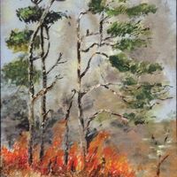 Carelessness - Kathy Lemmer