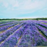 Lavender Dream - Yana Linch