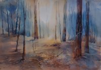 Liz Seward
