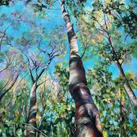 Looking Up – Tracy Aldous