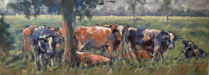 2026 ANNEMARIE NIJEBOER – Cows in Shade