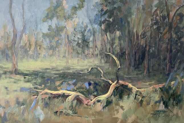 ANNEMARIE NIJEBOER – Fallen Tree