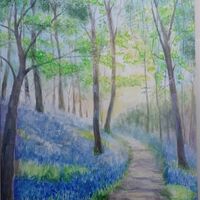 ROSALIND O'CONNOR –&nbsp;Bluebell Wood