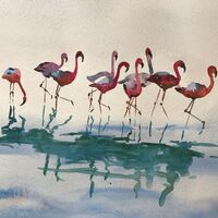 Pink Ladies - Elaine Balmer