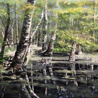 Floating Pollen at Horsell Common - Pino Cammisa