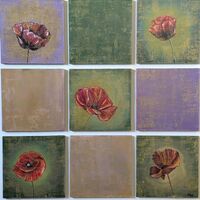 Poppies