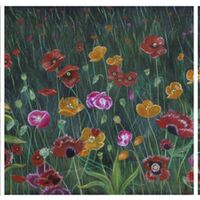 Poppy Meadow - Sue Reynolds