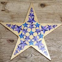 SUE REYNOLDS –&nbsp;Falling Star