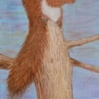 SUE REYOLDS –&nbsp;Red Squirrel