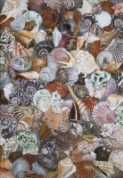 Sue Reynolds