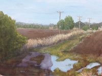 Sue Hinton