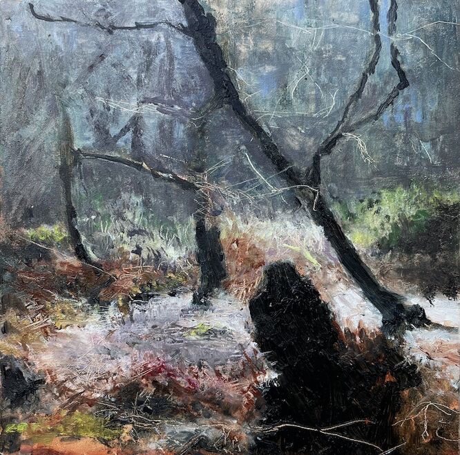 Sunlit Woodland Glade – Keren Jones