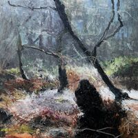 Sunlit Woodland Glade – Keren Jones