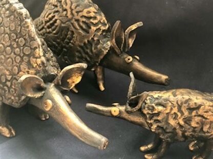 JO THOMPSON – Armadillo Family