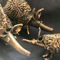 JO THOMPSON – Armadillo Family