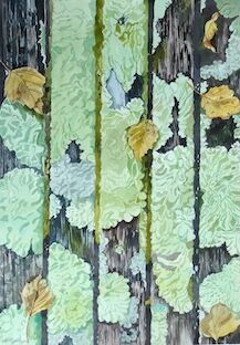 VAL THORPE –&nbsp;Lichen on Jan's Bench
