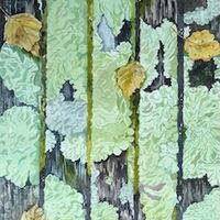 VAL THORPE –&nbsp;Lichen on Jan's Bench