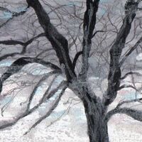 Winter Tree - Carla Scarano D'Antonio
