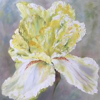 Yellow Joy - Julia Aspin