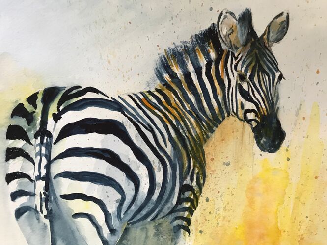 Zebra - Elaine Balmer