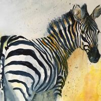 Zebra - Elaine Balmer