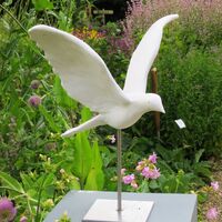 Maggie Butler - White Dove