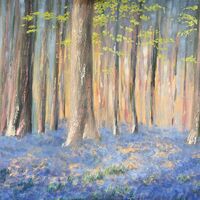 Blanket of Bluebells - Lauren Sapseid