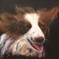 In A Hurry - Julia Aspin