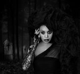 The Black Widow by Eileen Murray COMMENDED