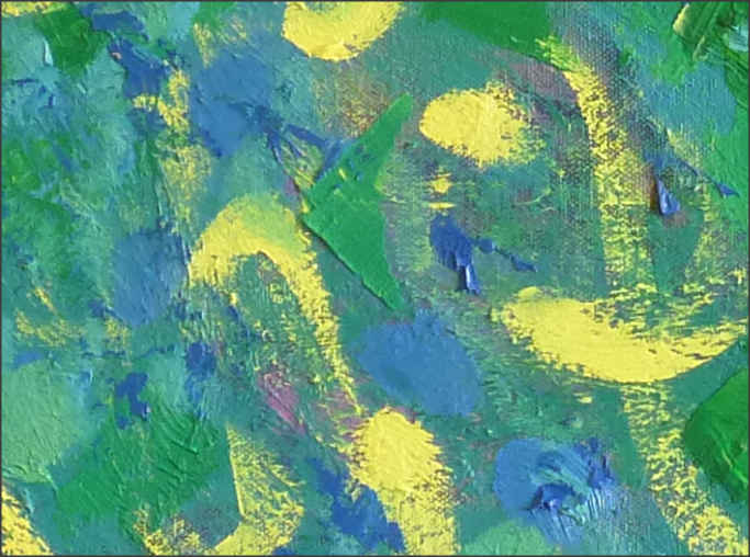 Limited Field Detail