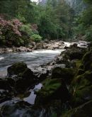 Gwynedd: Aberglaslyn