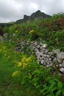 Flores - Coastal Path near Mosteiro
