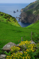 Flores - Coastal Scenery near Mosteiro
