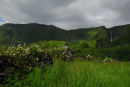 Flores - Landscape near Faja Grande