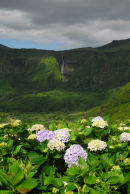 Flores - Landscape near Faja Grande