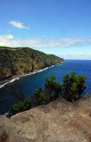 Sáo Miguel - Nordeste - Ponta do Arnel