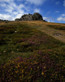 Dartmoor: Haytor