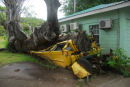 Dominica - Roseau - Botanical Gardens - Crushed School Bus
