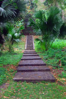 Dominica - Roseau - Botanical Gardens