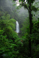 Dominica - Trafalgar Falls