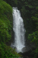Dominica - Trafalgar Falls