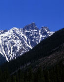 Glacier National Park<br>
Rogers Pass