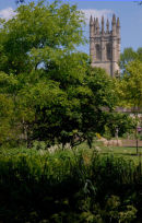 Botanic Garden + Magdalen College