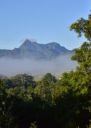 NSW: Mount Warning