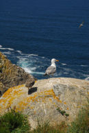 Galicia - Islas Cies