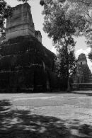 Tikal
